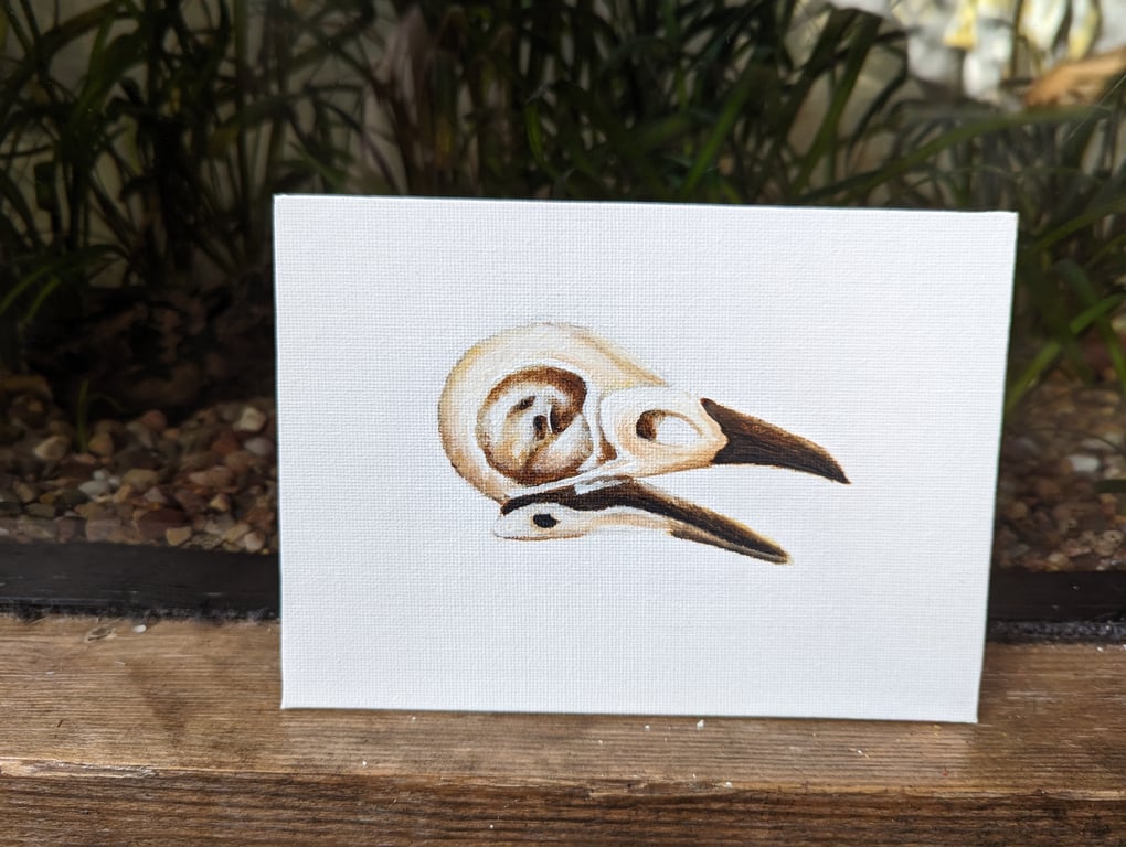 Bird Skull Painting (with hanger)