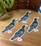 Cornish Chough Sticker - Cornwall Stickers  - Image 2
