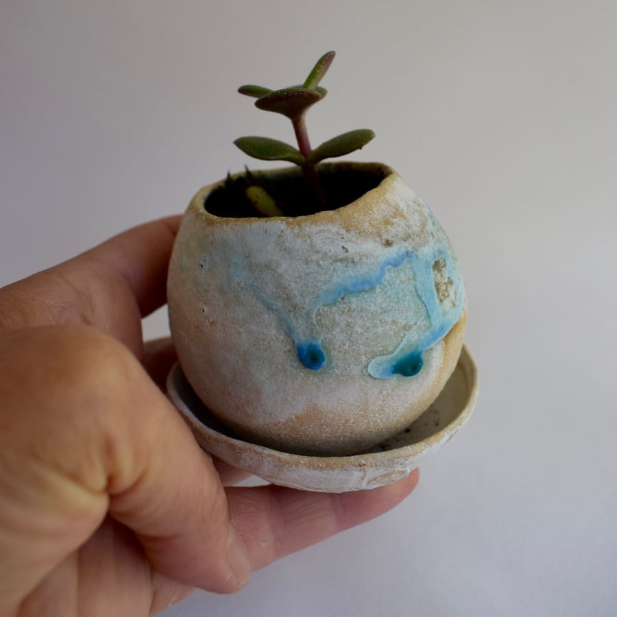 Small Ceramic Pebble Planter 