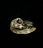 Wolf Skull Ring - Hand carved - Sterling Silver 