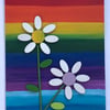 White petal daisy picture on a rainbow background