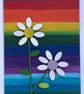 White petal daisy picture on a rainbow background