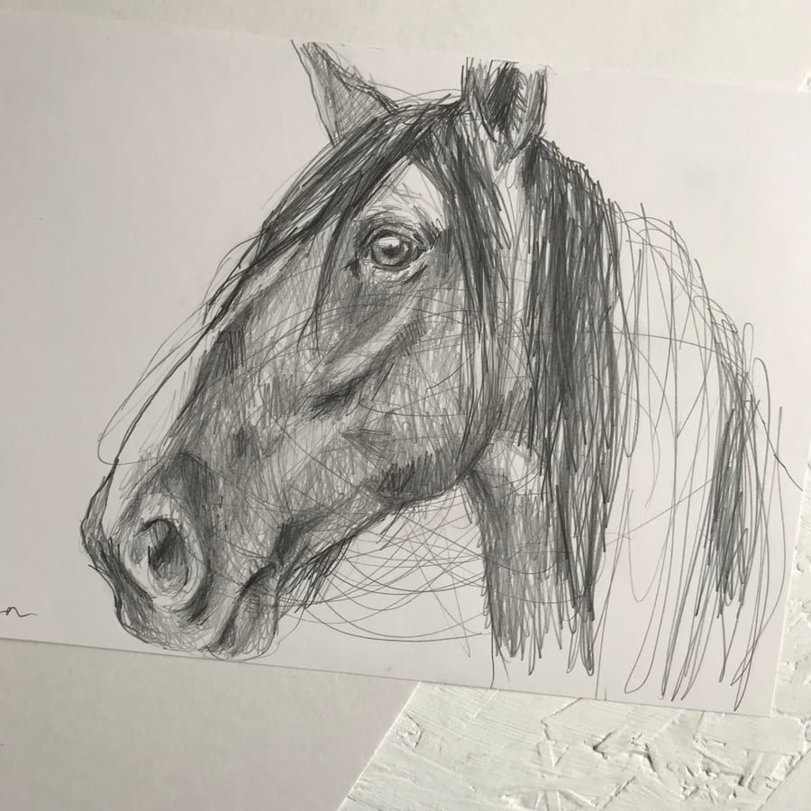 Portrait of a horse