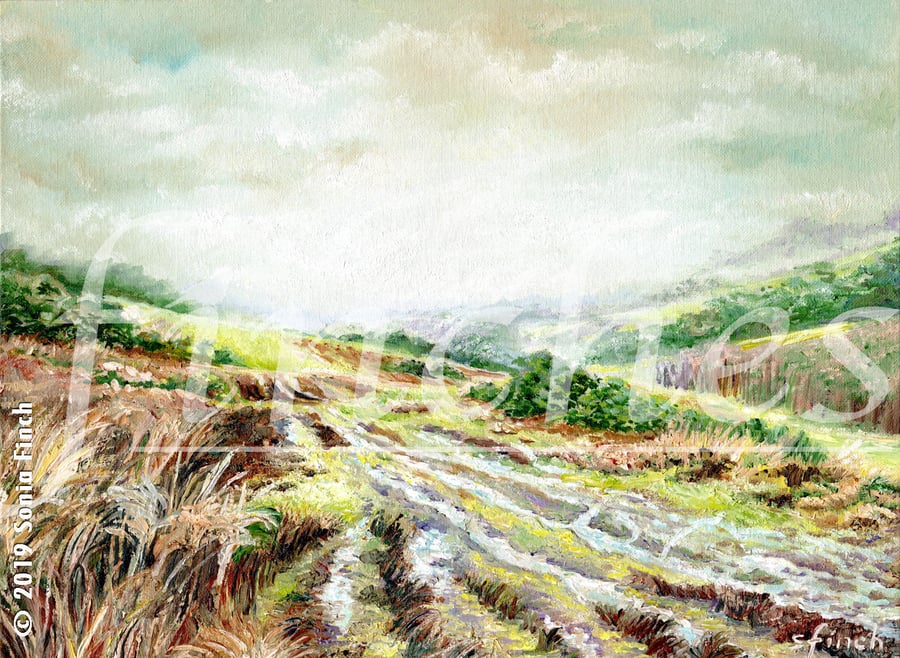 Tranquil Ashdown Forest in Autumn - Limited Edition Giclée Print