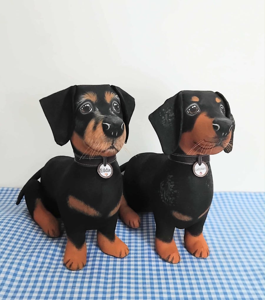 Fully personalised Miniature Dachshunds 