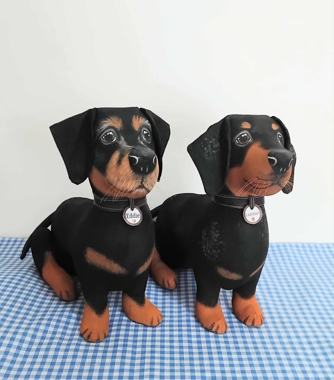Fully personalised Miniature Dachshunds 