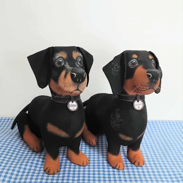 Fully personalised Miniature Dachshunds 