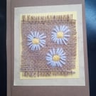 Daisy card