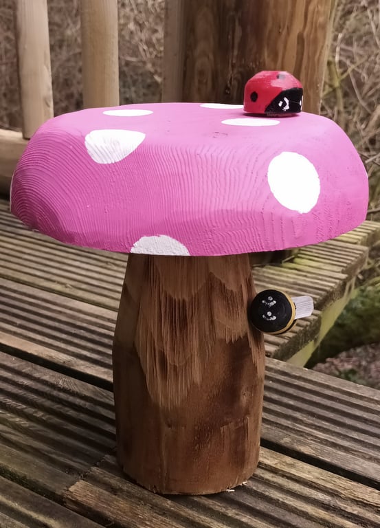 Pink Spotty Toadstool