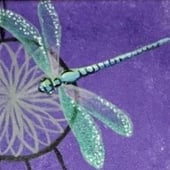 Dragonfly Dreamseeker