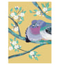 Blank card garden bird card pigeon and blossoms SALE - Image 3
