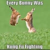 Bunny Kung Fu Magnet