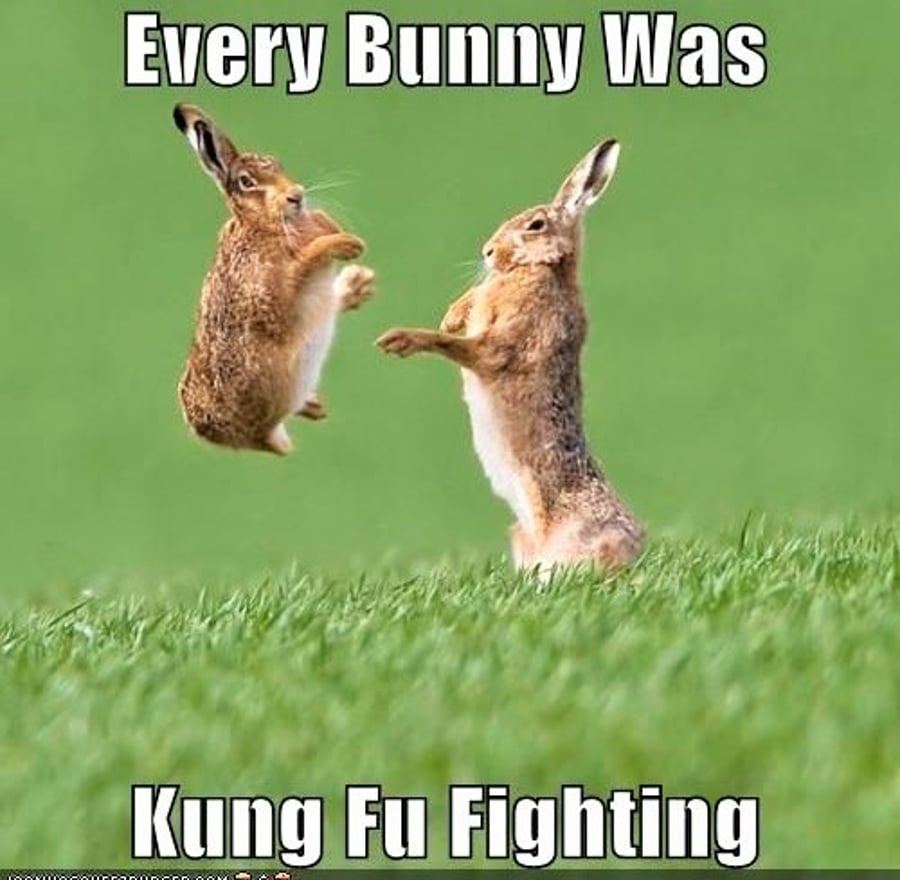 Bunny Kung Fu Magnet