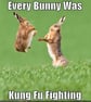 Bunny Kung Fu Magnet - Image 1