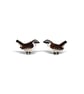Wren Stud Earrings - Handpainted - Bird Earrings