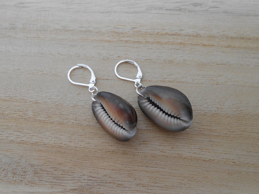 Real shell earrings with silver plated ear wires. Ref 301