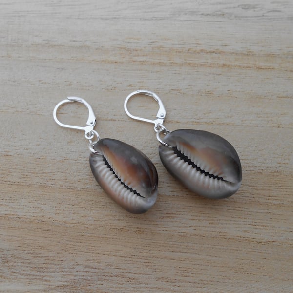 Real shell earrings with silver plated ear wires. Ref 301