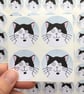 Black and White Cat Stickers (Our Dave - Blue) Set of 4