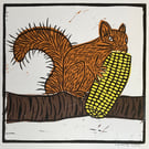 Red Squirrel eating sweetcorn