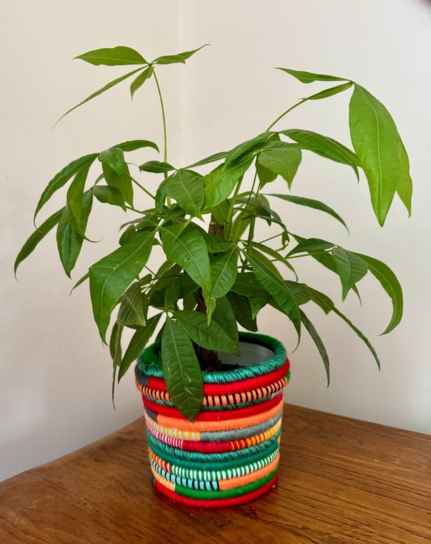 Orange  and greens BoHo  wool yarn planter upcycled yoghurt pot