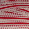 5.5 Metres of Cream Lace and Red Velvet Trim