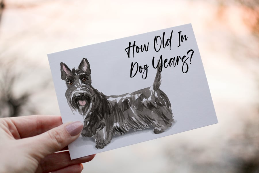 Scottish Terrier Dog Birthday Card, Dog Birthday Card, Personalized Dog Breed