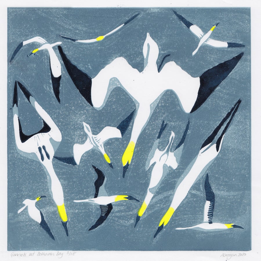 Original lino print Gannets at Belhaven Bay