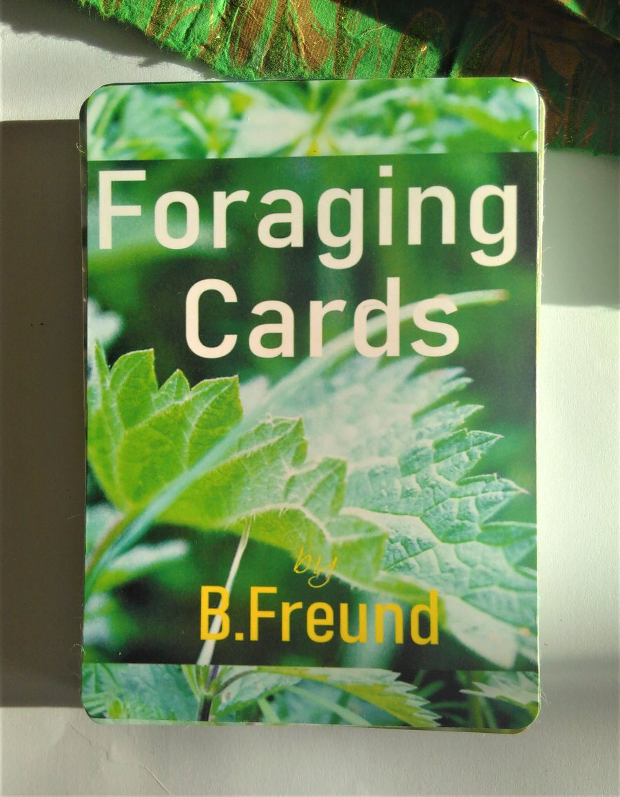 Foraging cards (set)