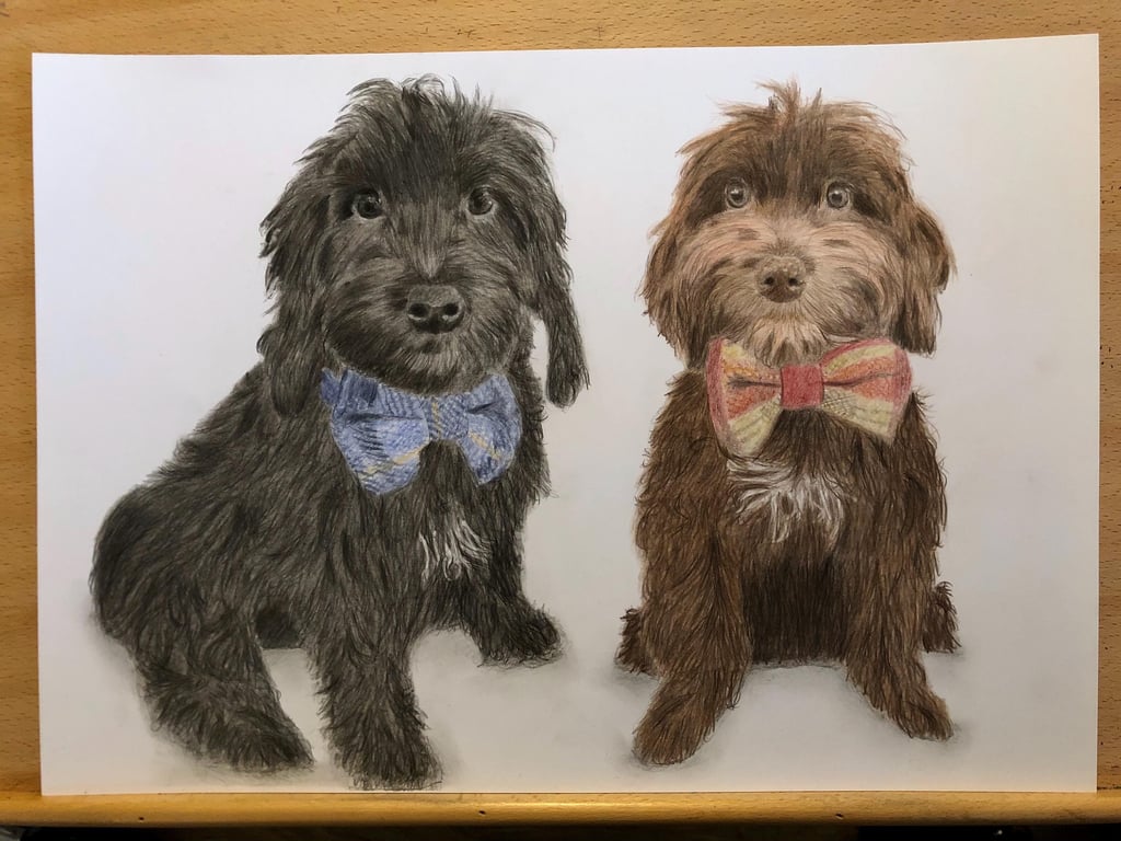 A3 Custom pet portrait for two pets made with coloured pencil