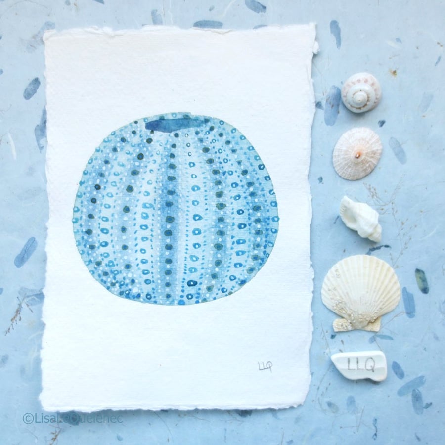 Sale Sea urchin original watercolour painting shell collection coastal style