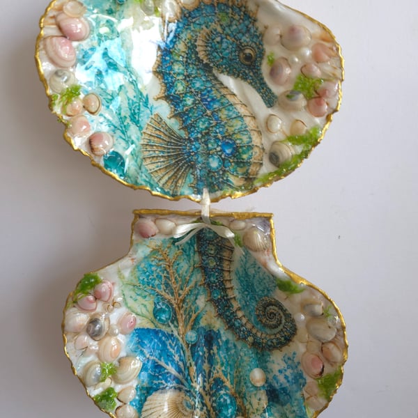 Shell Seahorse Wall Hanging Décor, Multicolour Nautical Sea Life (2 Shells)
