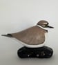 Little ringed plover - Image 1