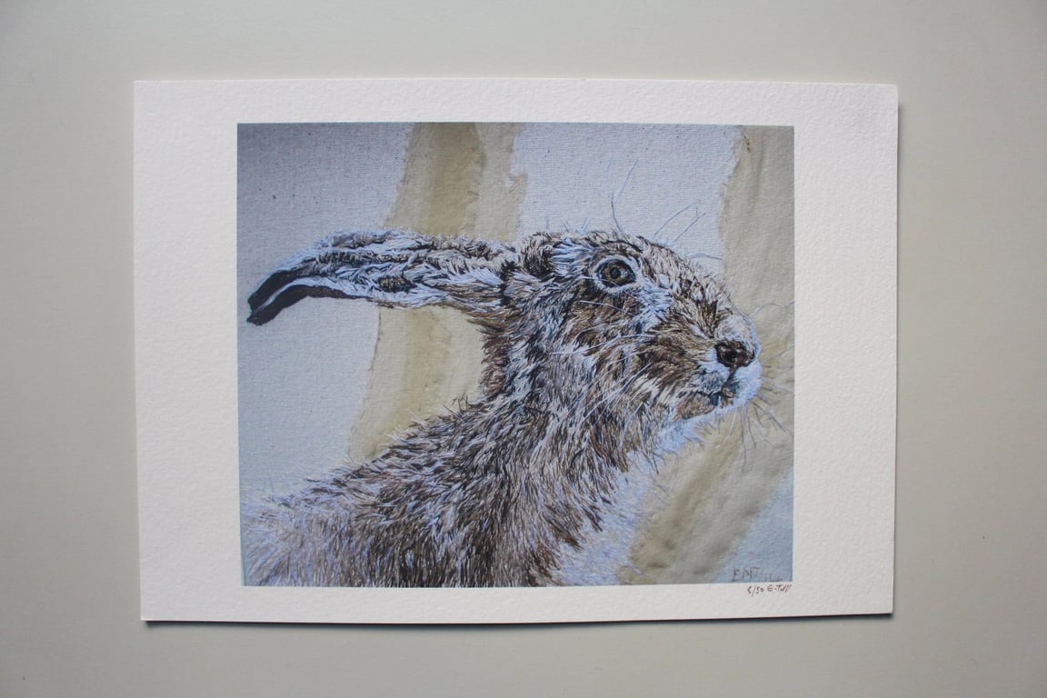 Brown Hare Fine Art Giclee Prints