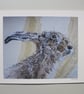 Brown Hare Fine Art Giclee Prints