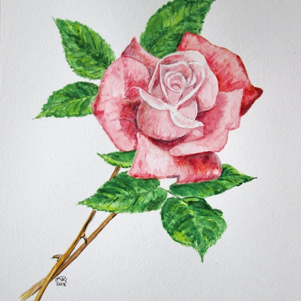 A single pink rose. Original painting