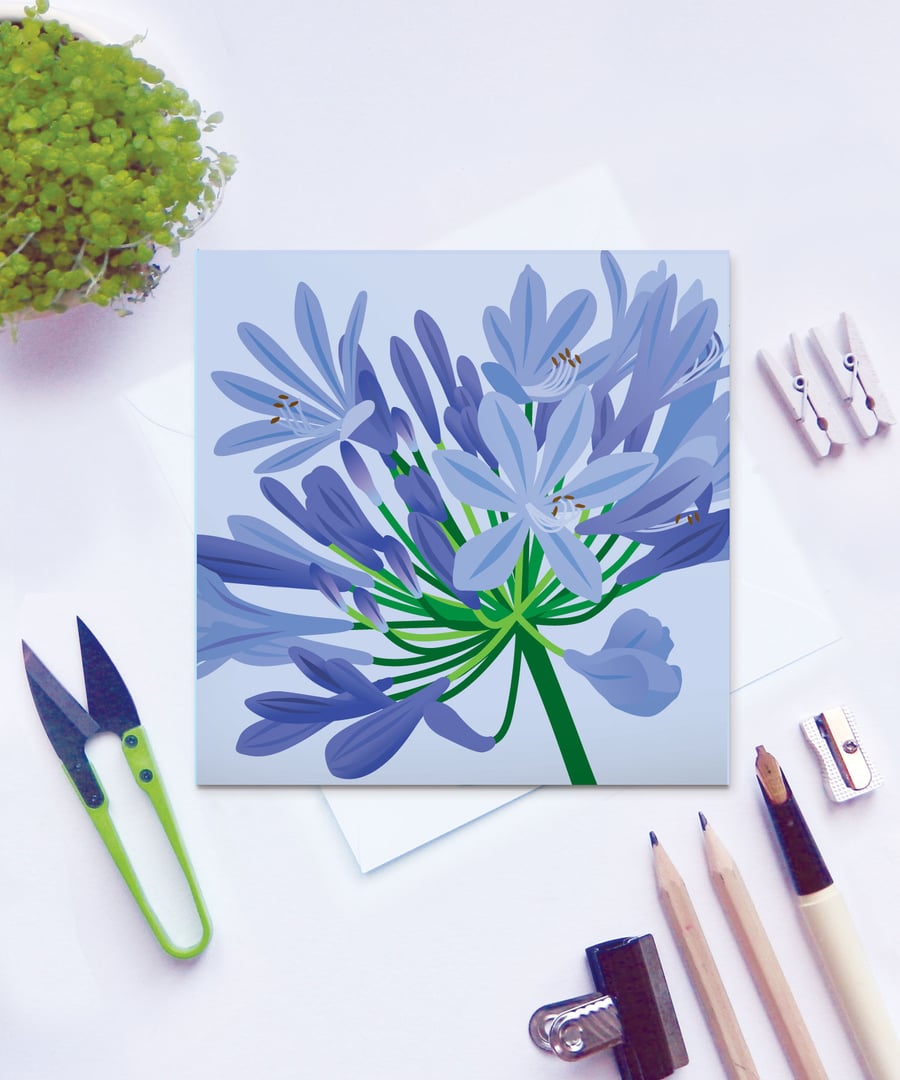 Blue Agapanthus Card - birthday, floral, summer