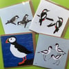 Pack of 4 greetings cards - blank for your own message - Birds
