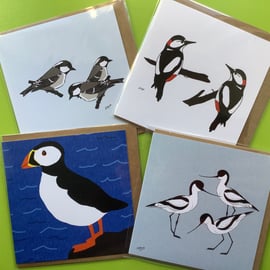 Pack of 4 greetings cards - blank for your own message - Birds