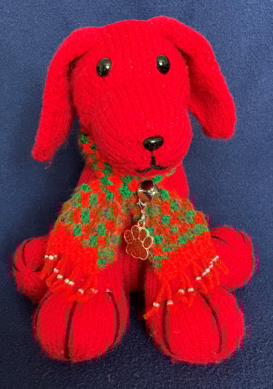 Red Dog wearing a knitted scarf