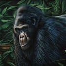 Pastel Portrait of a Gorilla