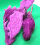 hair accessories dragon Clip rainbow purple   Needle Felted Baby Dragon    - Image 2