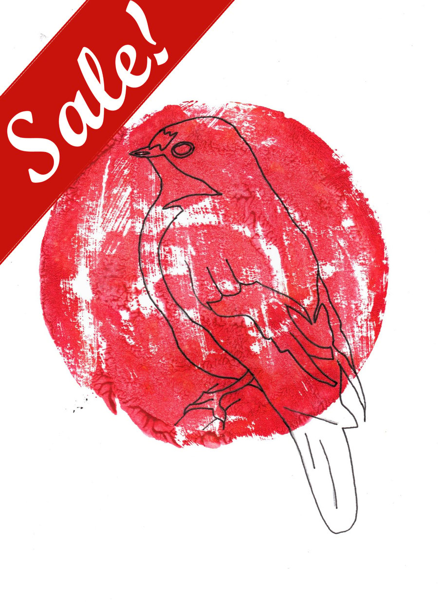 Sale - 50% off! - Pied Flycatcher Illustration