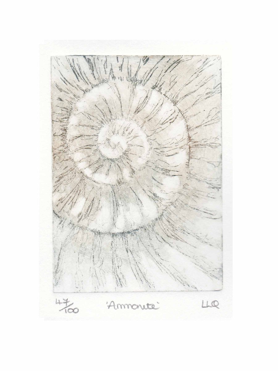 Etching no.47 of an ammonite fossil in an edition of 100