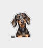 Funny Vinyl Sticker For Adults - Cute Dachshund Dog