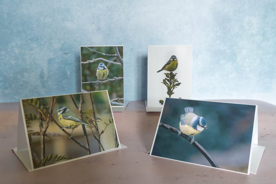 4 Blue Tit Greetings Cards - Ethically Made