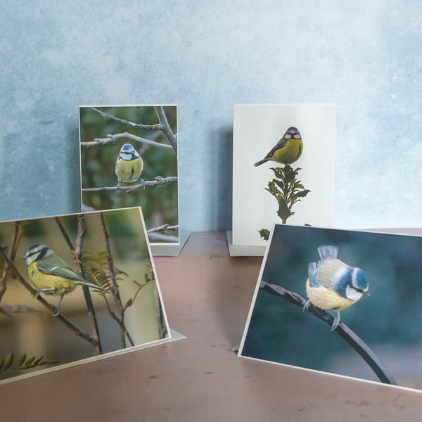 4 Blue Tit Greetings Cards - Ethically Made