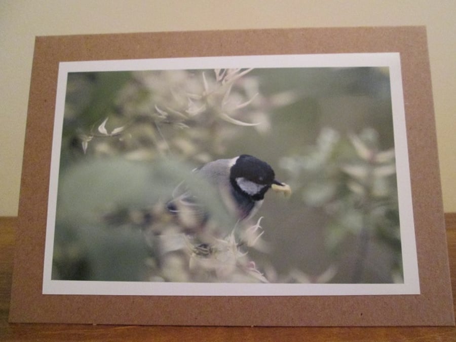 Great Tit Photo Greetings Card