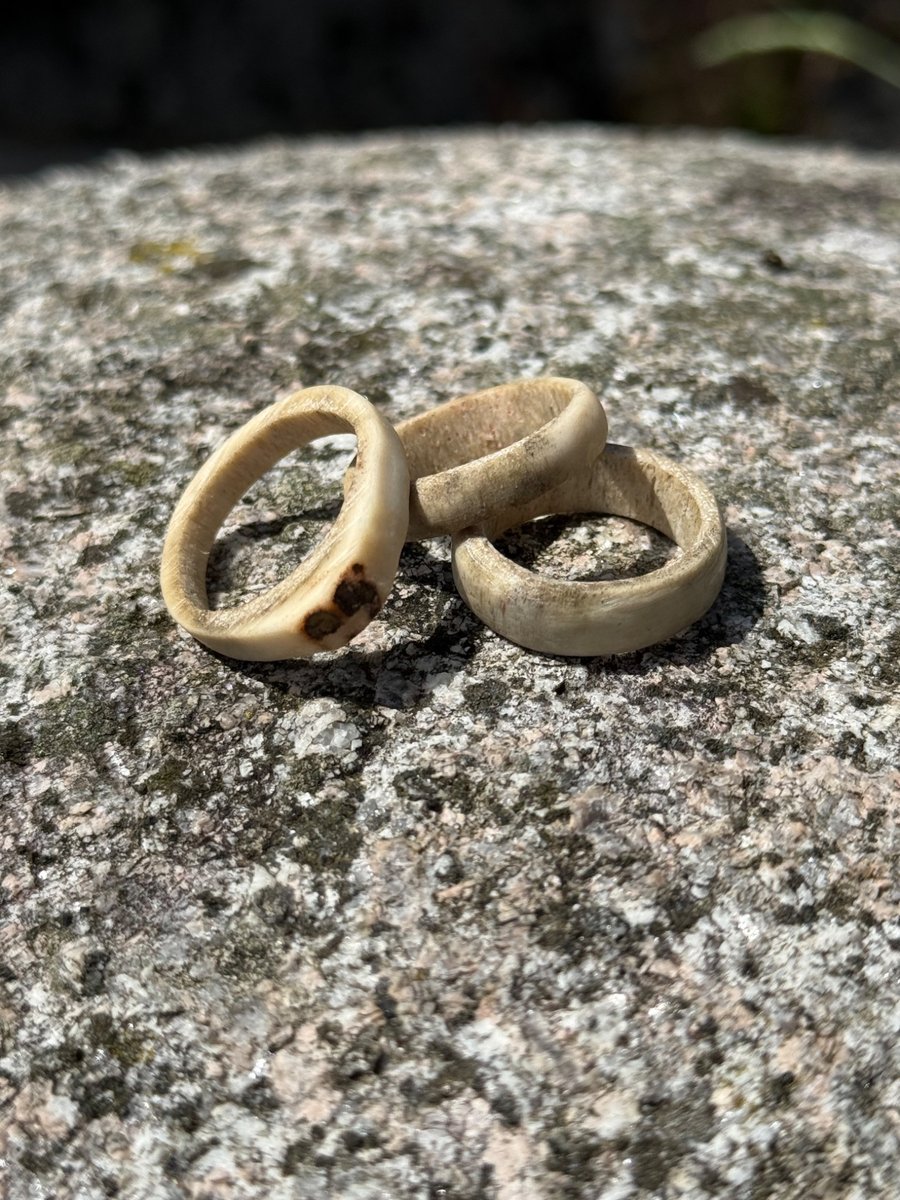 Natural Antler Rings