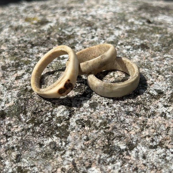 Natural Antler Rings