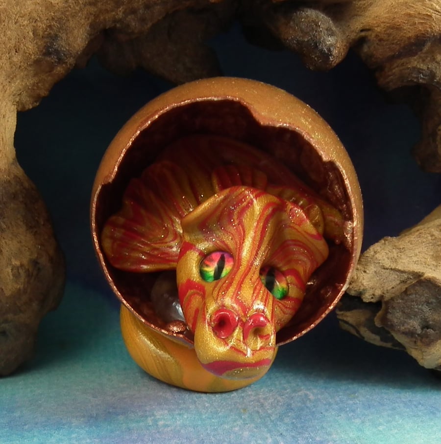 Tiny Hatching Dragon 'Gilden' OOAK Sculpt by artist Ann Galvin